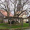 Gerichtsplatz in Sebbeterode Beispielbild für Sebbeterode