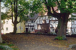 Linden auf dem Anger in Abterode Vorschaubild