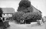 Die Stufenlinde in Hönebach, 1940 Vorschaubild