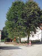 Der Gerichtsplatz in Mäckelsdorf, 2000 Vorschaubild