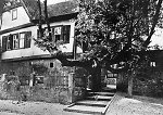 Die Linde vor dem Amtshaus in Niederaula, Vorschaubild