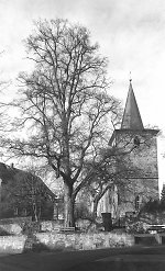 Der Gerichtsplatz in Oberellenbach mit der alten Linde, 1994 Vorschaubild