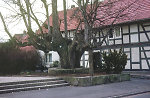 Die geleitete Linde in Ransbach, 1986 Vorschaubild