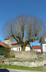 Der Gerichtsplatz in Retterode, 2010 Vorschaubild