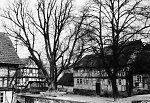 Die Linde bei der Angermühle in Röhrda, Aufnahme 1925 Vorschaubild