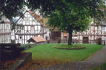 Jüngere Linde auf dem Gerichtsplatz in Röhrda, 2000 Vorschaubild