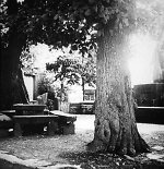 Der Gerichtsplatz in Rommerode, 1938 Vorschaubild