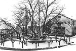 Die Linde in Schenklengsfeld, 1994 Vorschaubild