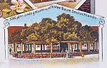 Die Linde auf einer Ansichtskarte von 1900 (Detail) Vorschaubild