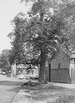 Der Gerichtsplatz in Sterzhausen, um 1975 Vorschaubild