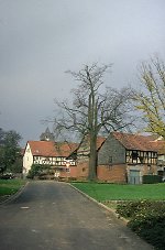 Der Gerichtsplatz in Sterzhausen, 1981 Vorschaubild