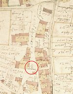 Die Linde in der Katasterkarte von Sterzhausen von 1754 Vorschaubild