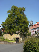Der Gerichtsplatz in Süß, 2009 Vorschaubild