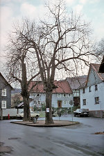 Der Gerichtsplatz in Unterrieden, 1981 Vorschaubild