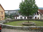 Die 2001 neu gepflanzte Linde in Utrrichshausen, 2006 Vorschaubild