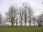 Vorschaubild