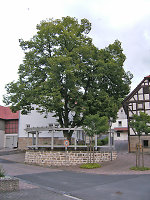 Der Gerichtsplatz in Weißenborn, 2010 Vorschaubild