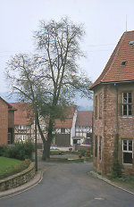 Der Gerichtsplatz in Bischhausen, 1981 Vorschaubild
