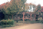 Die geleiteten Linden in Berndshausen, 1981 Vorschaubild