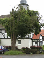 Der Gerichtsplatz in Beuern, 2010 Vorschaubild