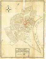 Die Linde in Binsförth auf der Katasterkarte von 1753 Vorschaubild