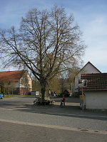 Der Gerichtsplatz in Densberg, 2010 Vorschaubild