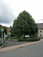 Der Gerichtsplatz in Friedigerode, 2010 Vorschaubild