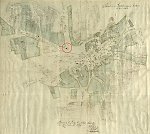 Die Linde an der Gießener Straße in Fronhausen auf der Feldkarte von 1782 Vorschaubild