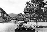 Die Linde auf dem Anger in Gieselwerder, um 1960 Vorschaubild