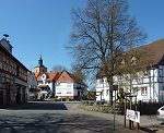 Die Linde in Braach, 2010 Vorschaubild