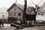 Männer beim Fällen der alten Kastanie in Haddamar, 1956 Vorschaubild