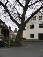 Der Gerichtsplatz in Halsdorf, 2011 Vorschaubild