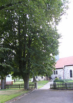 Der Gerichtsplatz in Oberaula-Hausen, 2010 Vorschaubild