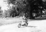 Die Gerichtslinde in Hausen, 1960 Vorschaubild