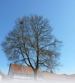 Der Gerichtsplatz in Braunhausen, 2010 Vorschaubild