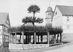 Die Stufenlinde in Hilgershausen 1940 Vorschaubild