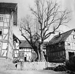 Der Anger in Breitau, um 1938 Vorschaubild