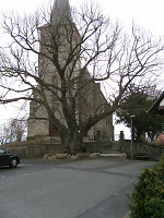 Die Linde in Hoof, 2010 Vorschaubild