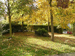 Der Lindenplatz in Maden, 2010 Vorschaubild