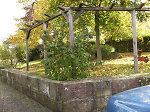 Der Lindenplatz in Maden, 2010 Vorschaubild