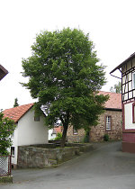 Der Lindenplatz in Metze, 2010 Vorschaubild