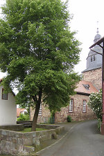 Der Lindenplatz in Metze, 2010 Vorschaubild