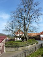 Der Gerichtsplatz in Breitzbach,2020 Vorschaubild