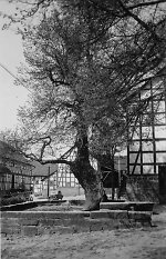 Der Gerichtsplatz in Niederbeisheim, um 1938 Vorschaubild