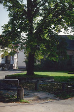 Der Gerichtsplatz in Burghofen, 2000 Vorschaubild