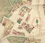 Die Linde vor dem Kirchhof in Burghofen auf der Katasterkarte von 1754 Vorschaubild
