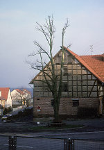 Der Gerichtsplatz in Burgholz, 1982 Vorschaubild