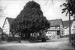 Die Linde in Schwarzenberg, um 1938 Vorschaubild