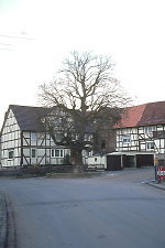 Die Linde in Schwarzenberg, 1981 Vorschaubild
