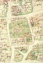 Die Gemeindelinde von Unshausen in der Katasterkarte von 1803 Vorschaubild